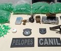 PM apreende 27 armas e 33 quilos de drogas durante a semana em Alagoas