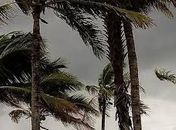 SPDEN emite alerta de ventania para Alagoas; rajadas podem superar 50 km/h