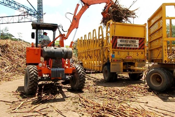 Usinas já estão em operação em Alagoas; é esperado crescimento superior a 10%
