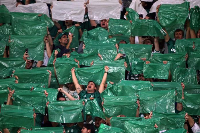 Torcedores do Palmeiras