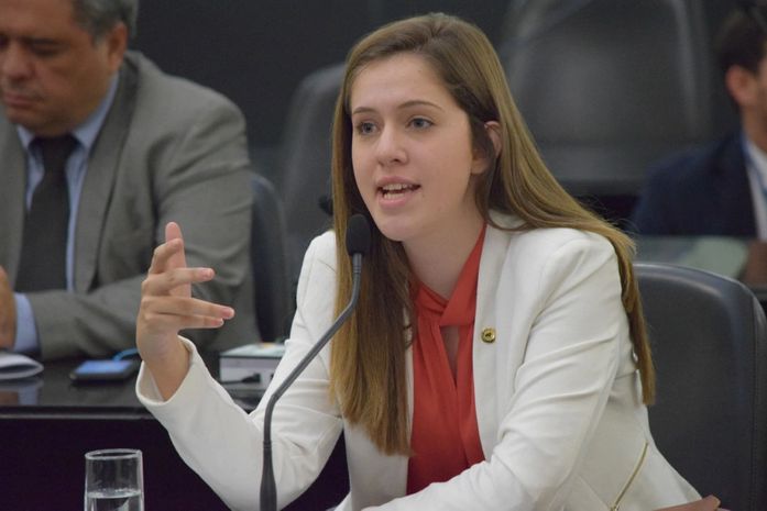 Parlamentar participa, em Brasília, de evento que reúne deputados tucanos de todo País e debate políticas públicas.