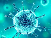 Pandemia impõe mudanças definitivas no trabalho, nos hábitos e na rotina