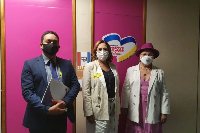 Cosems leva demanda de municipios alagoanos à bancada federal de AL