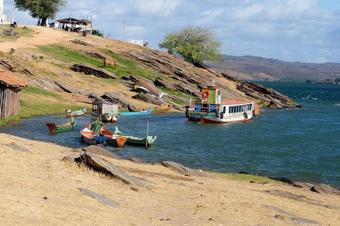 Infestação de pichilingas em escola pública suspende aulas em Traipu