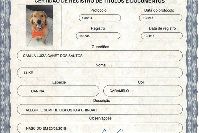 Donos já podem registrar animais de estimação em cartório de Maceió