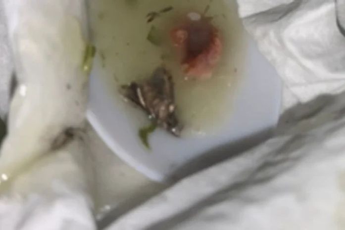 Ufal investiga denúncias de estudantes sobre vidro e barata em refeições do RU