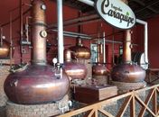 Em Campo Alegre, antigo engenho produz cachaça com selo internacional