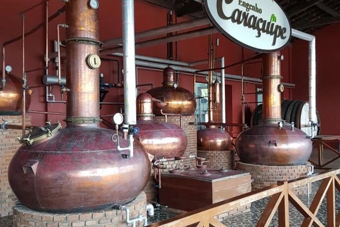 Em Campo Alegre, antigo engenho produz cachaça com selo internacional