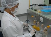 Mais 20 municípios são capacitados sobre qualidade da água para consumo humano