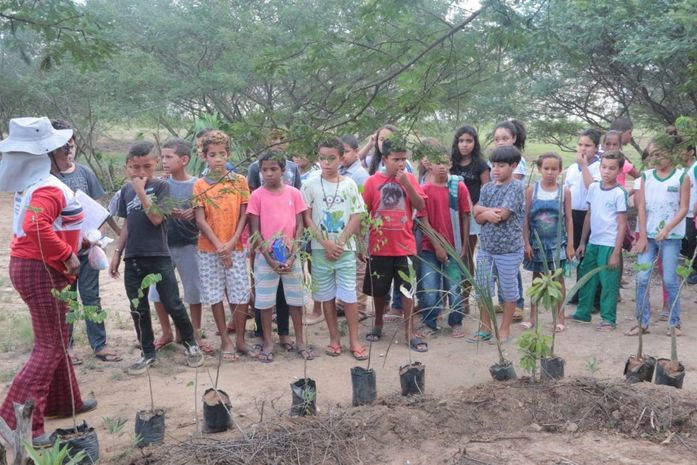 Arapiraca promove atividades de sustentabilidade na Semana do Meio Ambiente