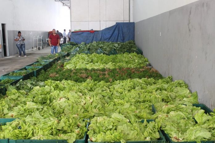 Agricultores familiares e entidades de Arapiraca podem se inscreverem para o Programa de Aquisição de Alimentos 2020