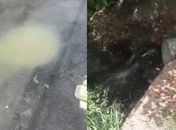 “Está praticamente morto”: morador denuncia despejo contínuo de esgoto no Rio Jacarecica
