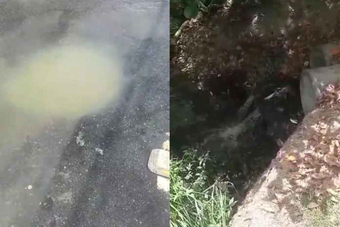 “Está praticamente morto”: morador denuncia despejo contínuo de esgoto no Rio Jacarecica