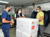 Alagoas recebe mais 67.430 doses de imunizantes contra Covid-19 nesta segunda (9)