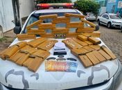 40 kg de maconha e 81 pedras de crack enterrados em terreno baldio são descobertos em Alagoas
