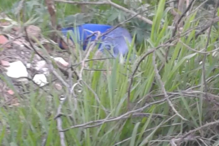 Taxista foi encontrado morto em um terreno no bairro do Petrópolis.