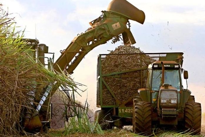 Crise no setor sucroalcooleiro: cronograma de pagamento dos usineiros irrita fornecedores
