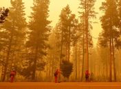 Estados Unidos: Incêndio na Califórnia queima 550 casas