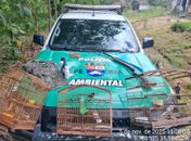 Homem é preso após manter animais silvestres em cativeiro e por posse ilegal de arma de fogo