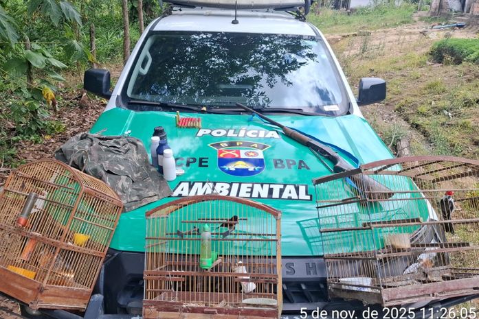 Homem é preso após manter animais silvestres em cativeiro e por posse ilegal de arma de fogo