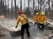Incêndio nos EUA: 1,3 mil estão desaparecidos; 79 mortes confirmadas