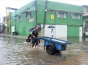 Doenças invisíveis, riscos evitáveis: os perigos que se espalham com a chuva em Alagoas