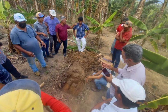 Secretaria de Agricultura de Branquinha trabalha no fortalecimento do cultivo e produção da banana