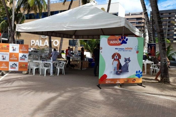 Cães e gatos estarão disponíveis em feira de adoção neste domingo (6), na Orla da Ponta Verde