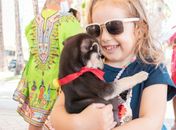 Na 1ª Feira de Adoção da Rua Fechada, 13 animais são adotados; ação retorna próximo domingo (17)