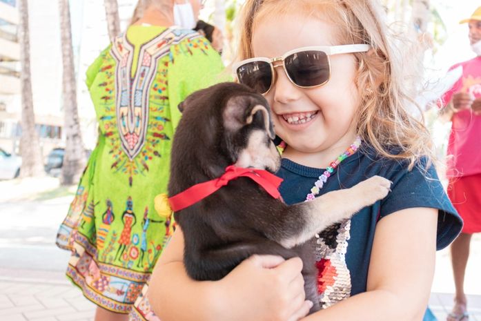 Na 1ª Feira de Adoção da Rua Fechada, 13 animais são adotados; ação retorna próximo domingo (17)