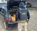 Veículo adulterado, pistola e munições: motorista é preso com mais de 60 kg de maconha, em Maceió