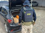 Veículo adulterado, pistola e munições: motorista é preso com mais de 60 kg de maconha, em Maceió