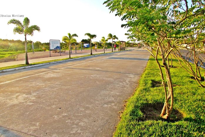 Jovem que estava desaparecido é encontrado morto no Bosque das Arapiracas