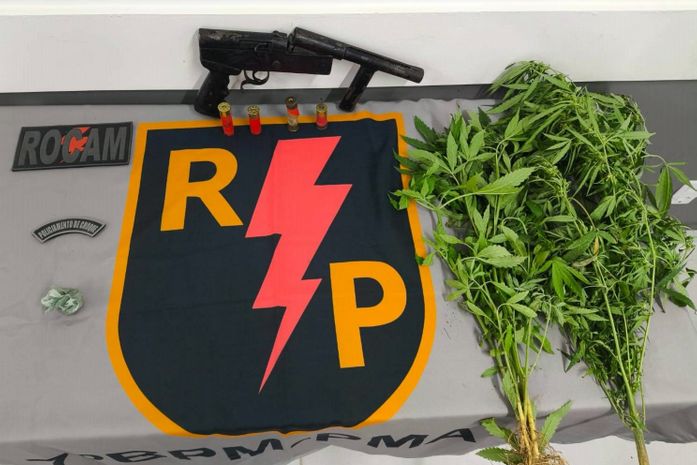 PM encontra plantio de maconha e apreende drogas e munições em dois municípios alagoanos