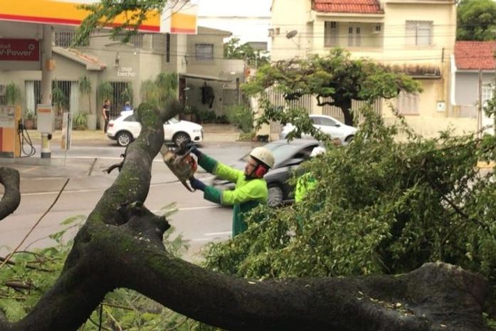 Sudes realiza operação para recolhimento de árvores que caíram