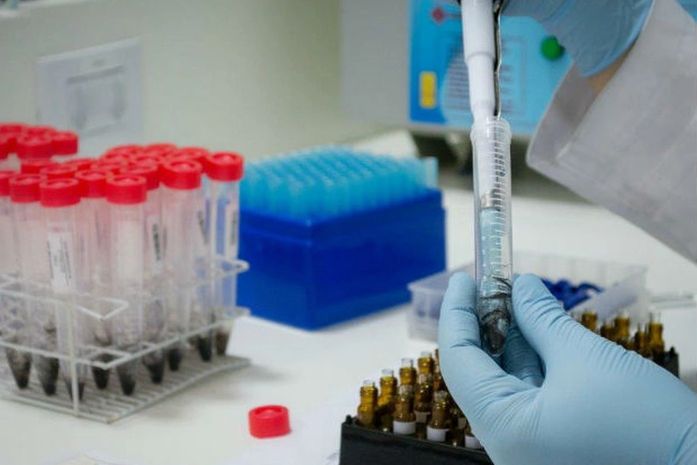 Com 826 novos óbitos em 24h, Brasil ultrapassa 140 mil mortes por Covid-19