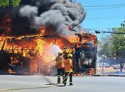 Ônibus que saiu de Alagoas pega fogo no DF e é destruído pelas chamas