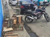 Imóvel onde ocorreu o fato fica localizado na Rua São José, no Clima Bom