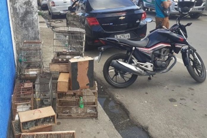 Imóvel onde ocorreu o fato fica localizado na Rua São José, no Clima Bom