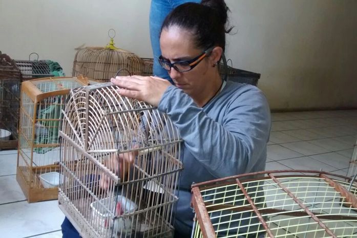 FPi do São Francisco apreendeu pássaros silvestres