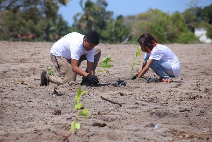 Prefeitura inicia plantio de 2 mil mudas de árvores em parceria com construtora
