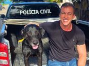 Cachorro doador de sangue é resgatado após ser mantido em cárcere privado em hospital veterinário em Maceió