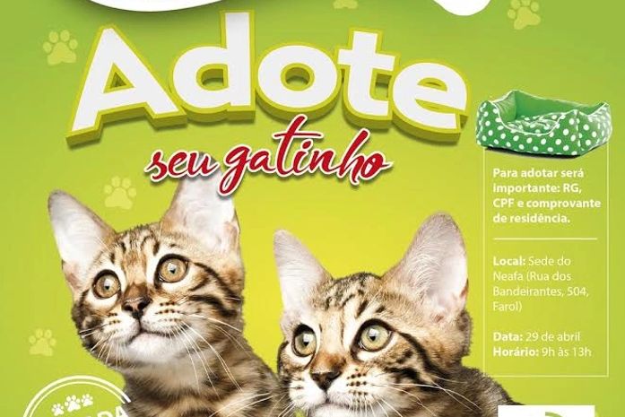 Feira de adoção no Neafa