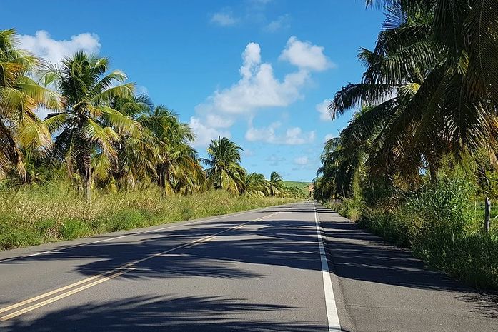 Após atropelar cachorro, motorista capota carro e colide em poste na AL-101