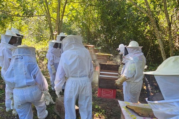 Programa Pescadores do Mel capacita mais de 20 pessoas nos Flexais e Coqueiro Seco
