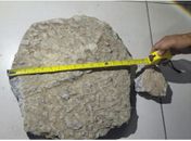 Pedra usada para atacar a PM