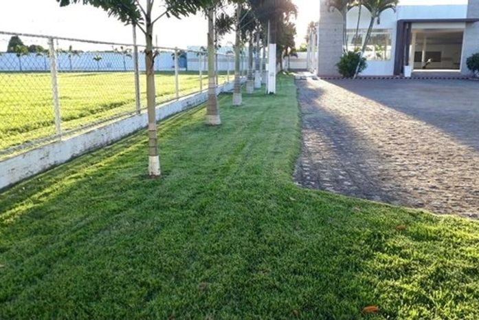 ASA x Barcelona de Ilhéus; veja prováveis escalações e arbitragem