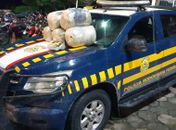 Homem é flagrado transportando 25 kg de maconha em carro na BR 104