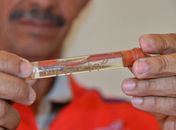 Sesau registra redução nos casos de dengue e zika em 2025, mas alerta para prevenção no verão
