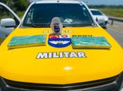 Polícia apreende 6,6 kg de maconha após abordar motorista na AL-101 Sul